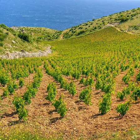 In With Sea View, Balcony, Air Conditioning, Wi-fi