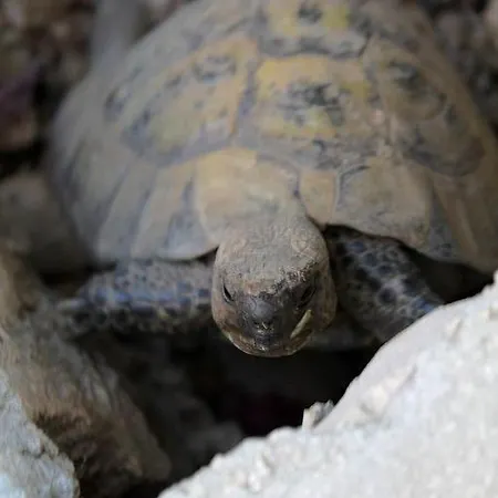 In With Sea View, Balcony, Air Conditioning, Wi-fi 赫瓦尔