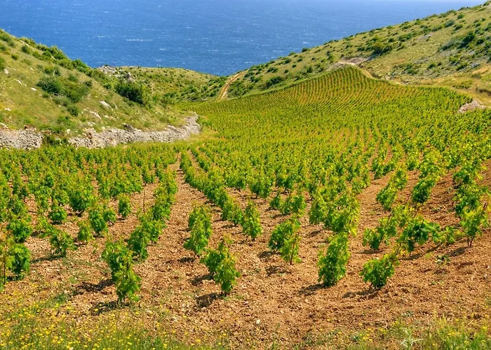 In With Sea View, Balcony, Air Conditioning, Wi-fi