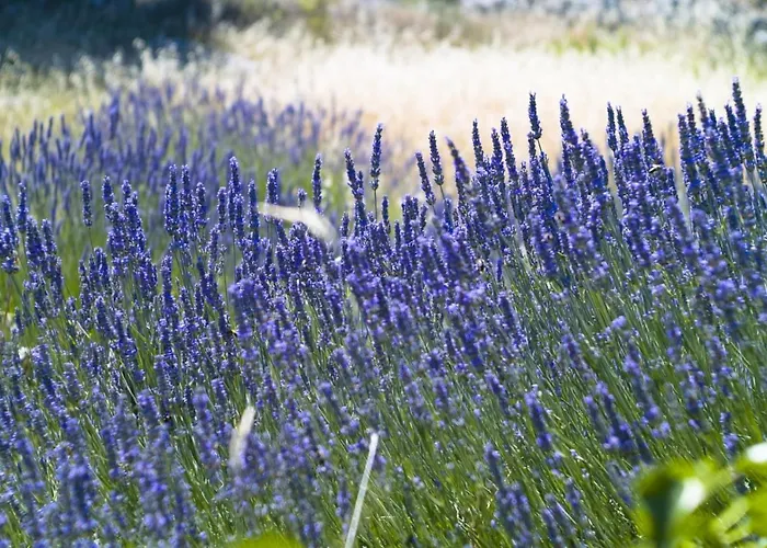 In With Sea View, Balcony, Air Conditioning, Wi-fi Hvar Town